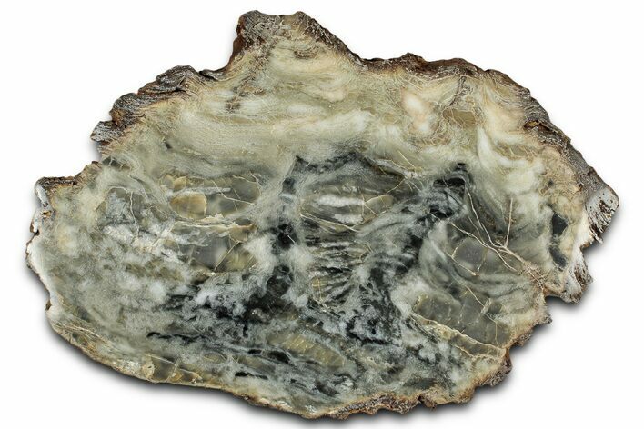 Polished Mesoarchean Stromatolite Slab - Ontario, Canada #326182